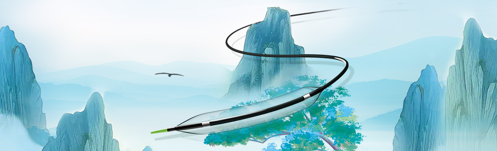 禄游®Luvjour 外周球囊扩张导管(图1)