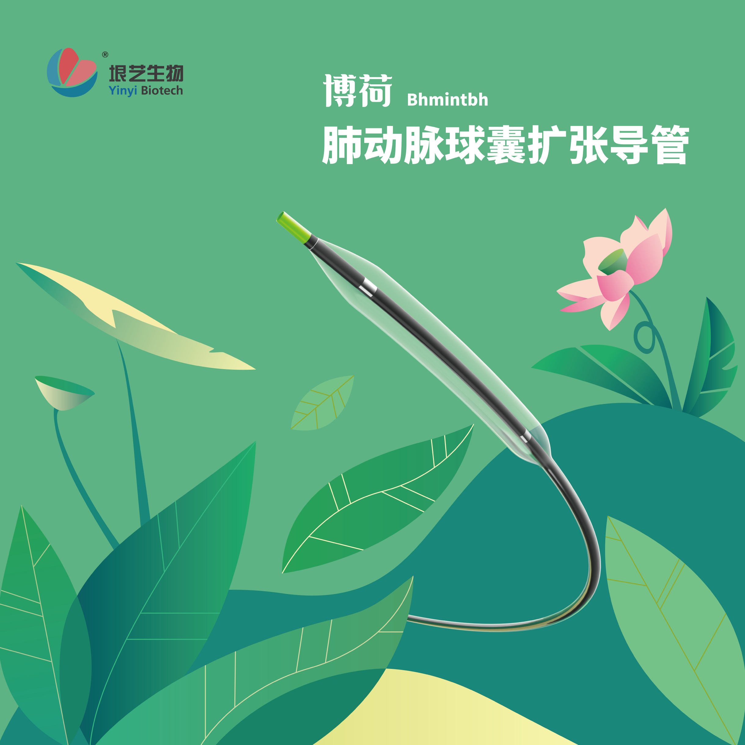 获批动态｜垠艺生物两款肺动脉球囊扩张导管于香港获批(图2)